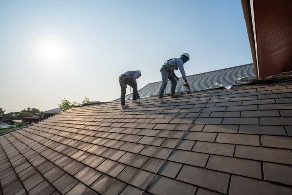 7 Signs Your Roof Needs Repair Before the Damage Gets Worse